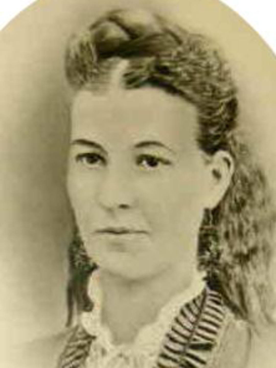 Sarah Jane Hollingdrake (1852 - 1919) Profile